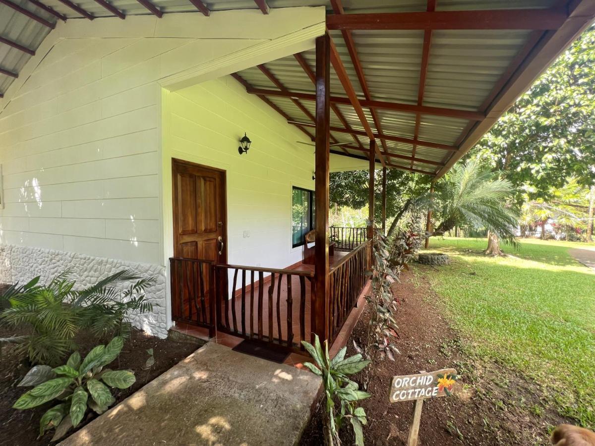 Inn Blue Banyan Quepos